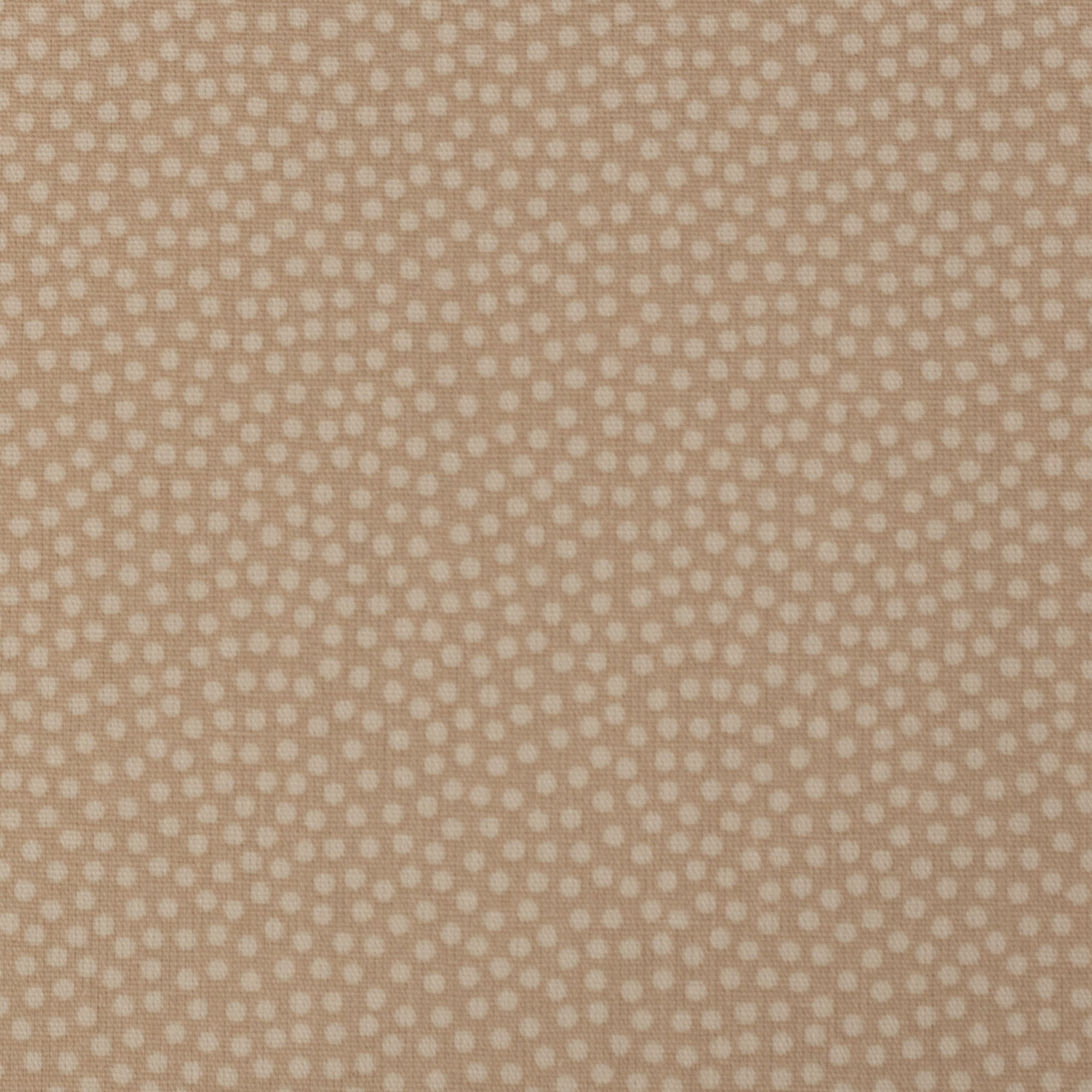 Baumwolle Webware - Dotty - Punkte - Beige 170 (Meterware ab 0.50m)