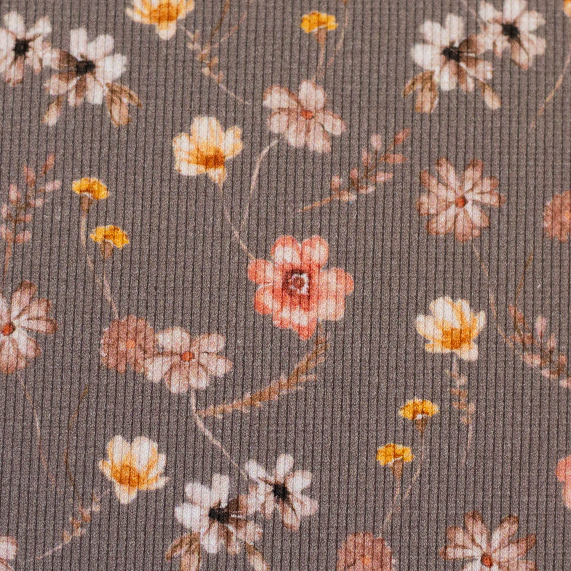 Rippjersey Stoff - Frieda by Christiane Zielinski (Meterware ab 0.50m)