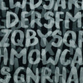 Jersey Stoff - Buchstaben, Alphabet (Elias) (Meterware ab 0.50m)