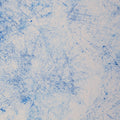 Jersey Stoff - Breeze by Thorsten Berger - Blau (Meterware ab 0.50m)