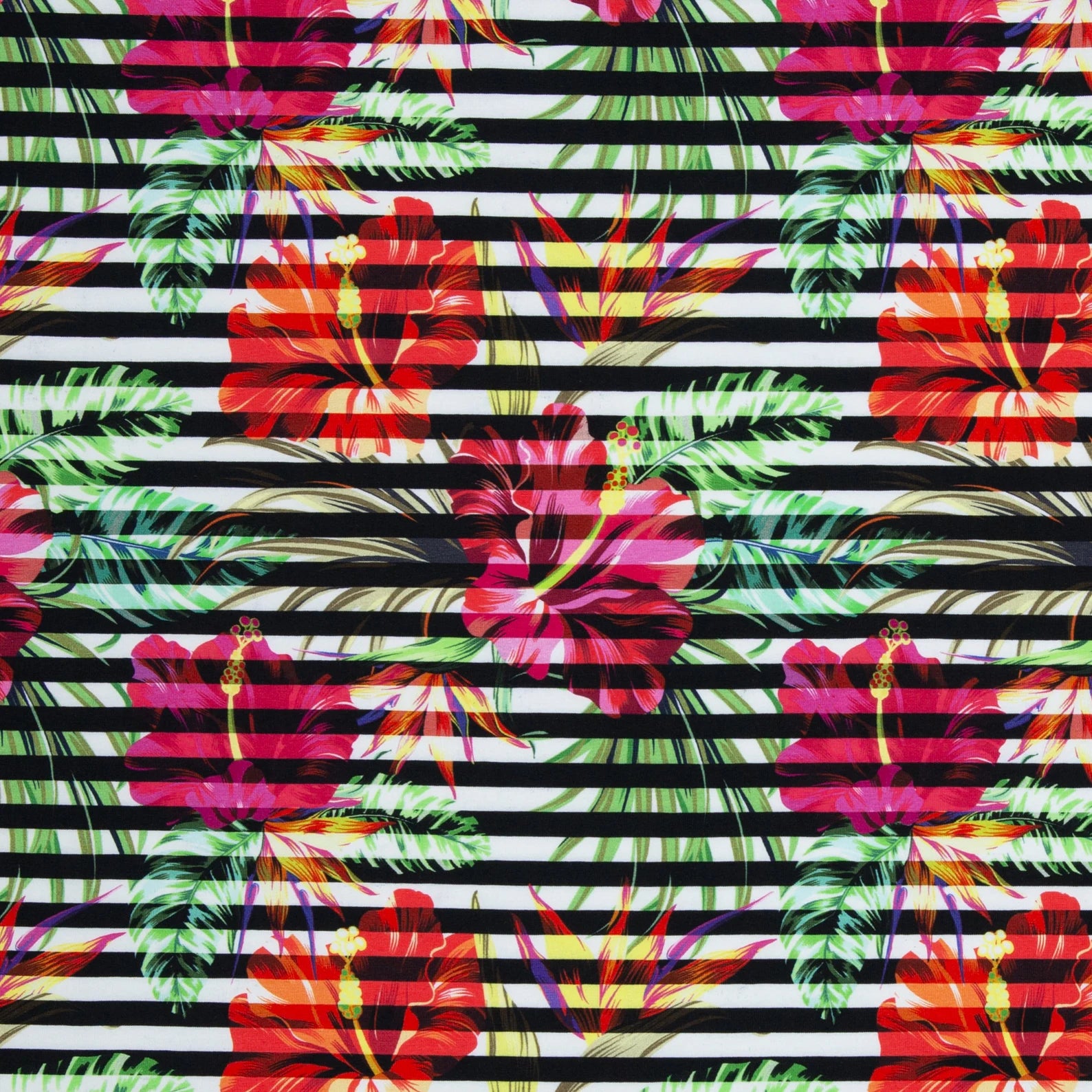 Jersey Stoff - Floral/Blumen/Berne - Schwarz (Meterware ab 0.50m)