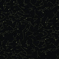 Jersey Stoff - Astra by käselotti - Schwarz (Meterware ab 0.50m)