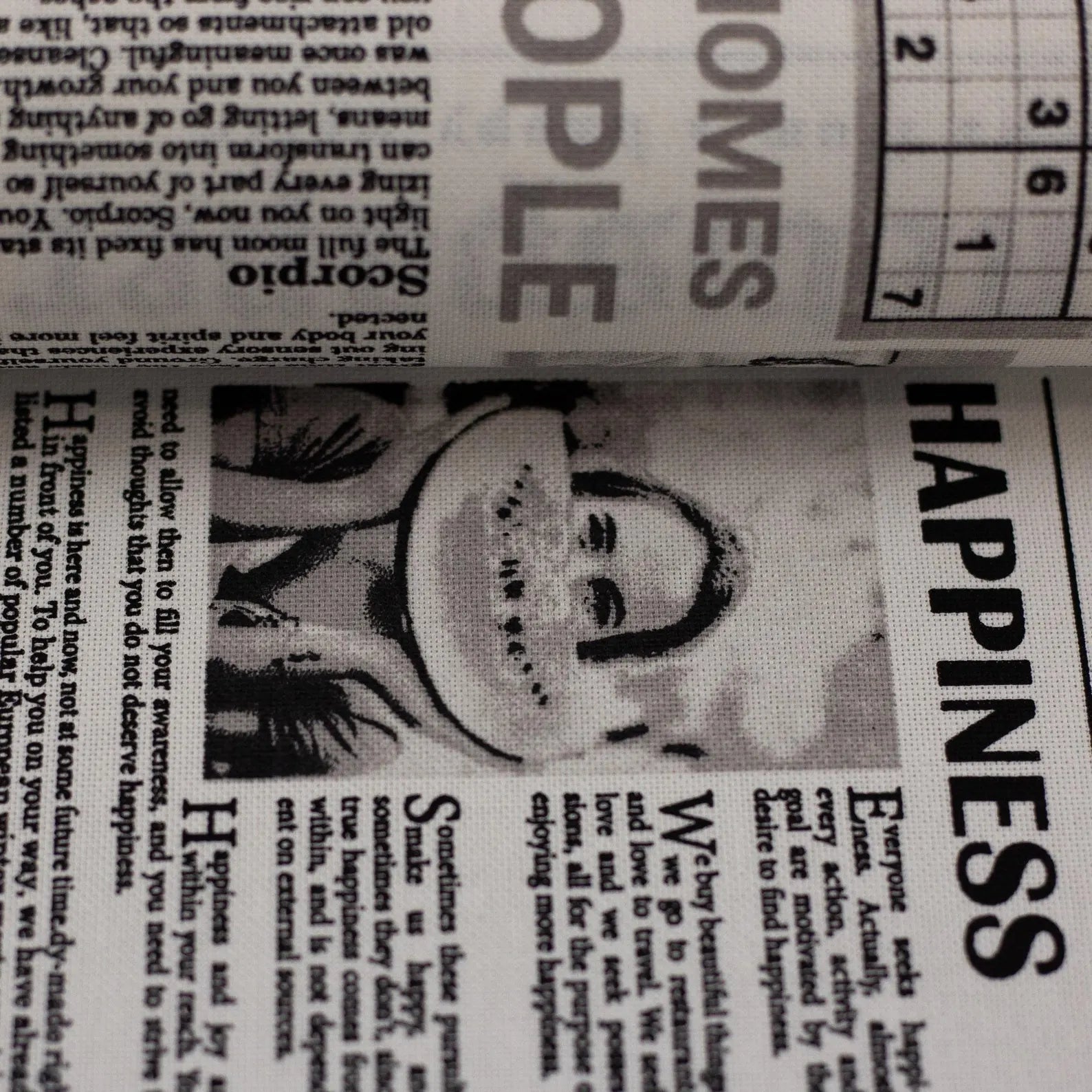 Canvas - Dekostoff - Newspaper - Zeitung (Meterware ab 0.50m)