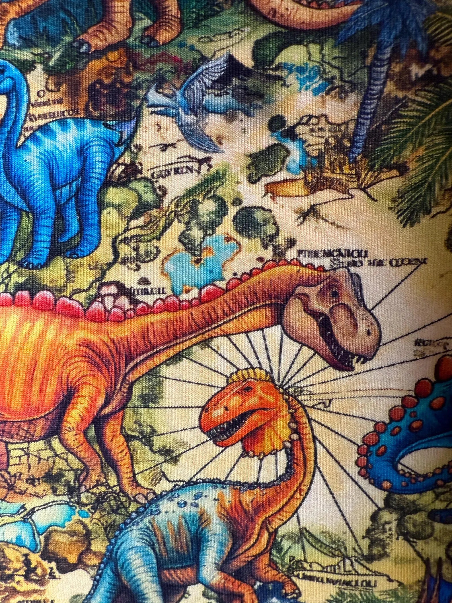 French Terry - Dino Weltkarte (Meterware ab 0.5m)