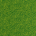 Baumwolle Webware - Dotty - Punkte - Grün 601 (Meterware ab 0.50m)