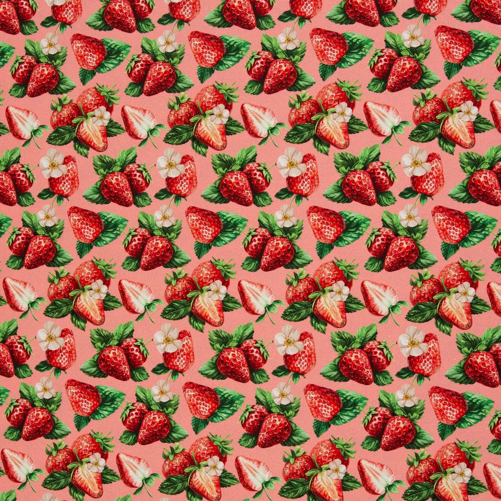 Canvas - Matteo - Erdbeeren (Meterware ab 0.50m)