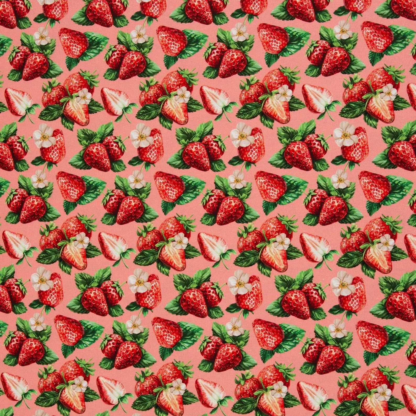 Canvas - Matteo - Erdbeeren (Meterware ab 0.50m)