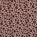 Jersey Stoff - Silas Leo (Meterware ab 0.50m)