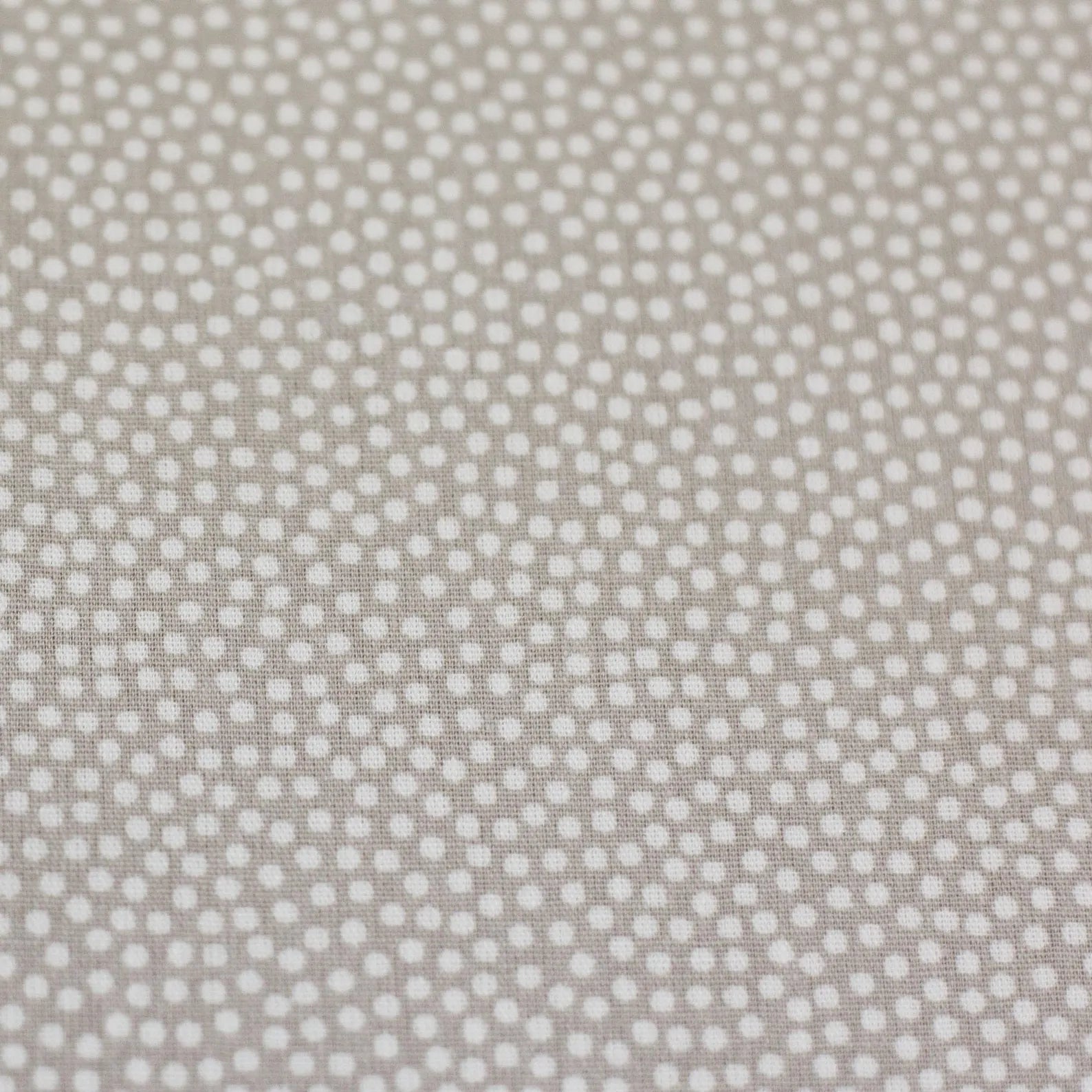 Baumwolle Webware - Dotty - Punkte - Grau/Beige 671 (Meterware ab 0.50m)