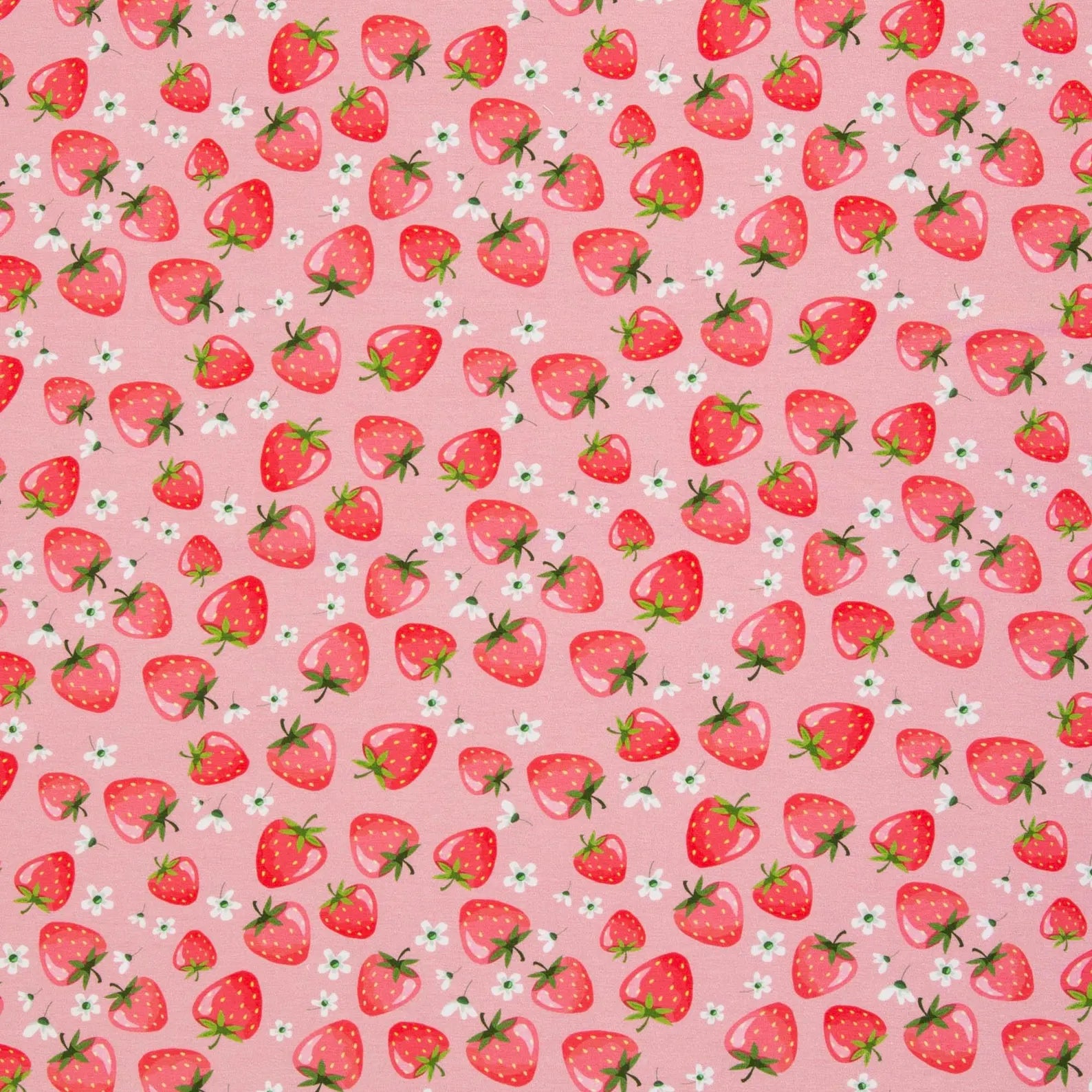 Jersey Stoff - Melody Erdbeeren (Meterware ab 0.50m)