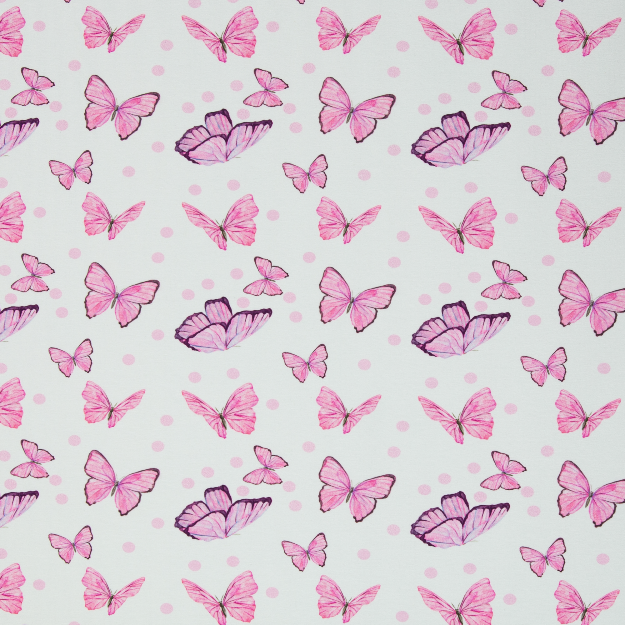 Jersey - Schmetterlinge