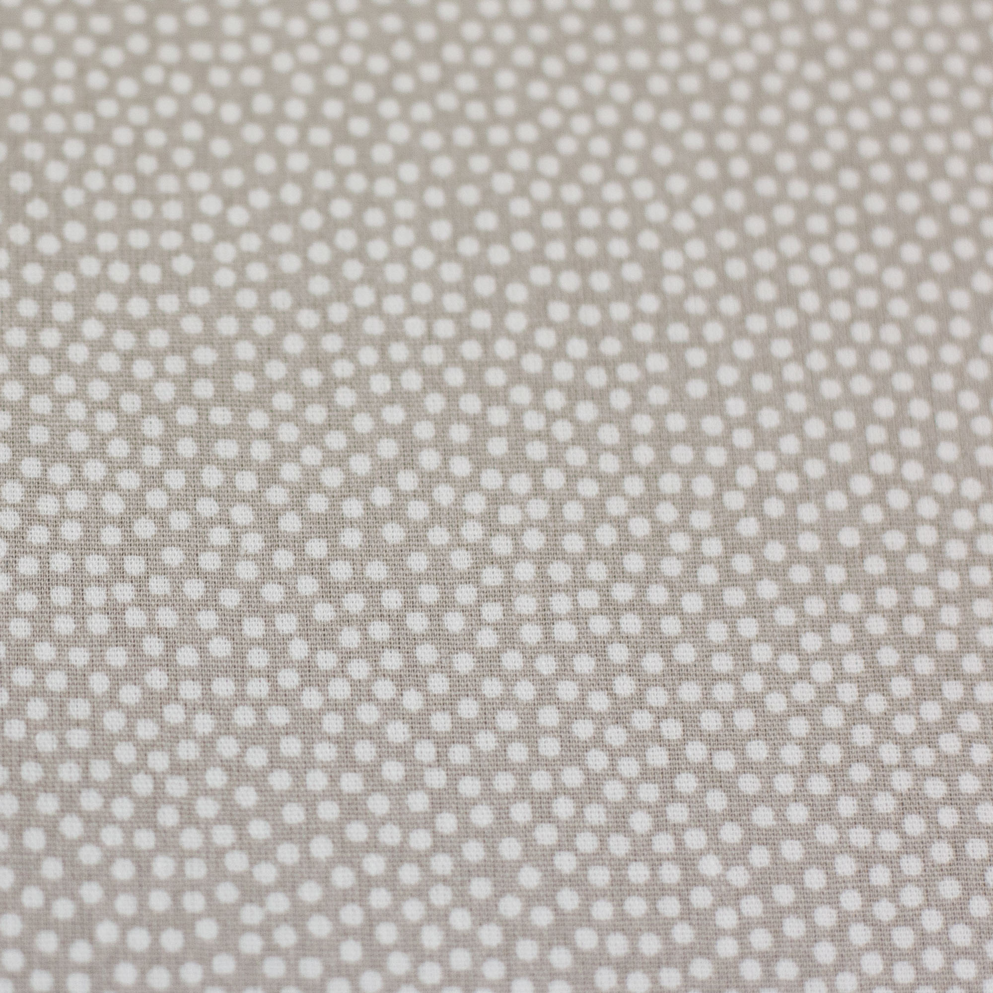 Baumwolle Webware - Dotty beige (Meterware ab 0.50m)